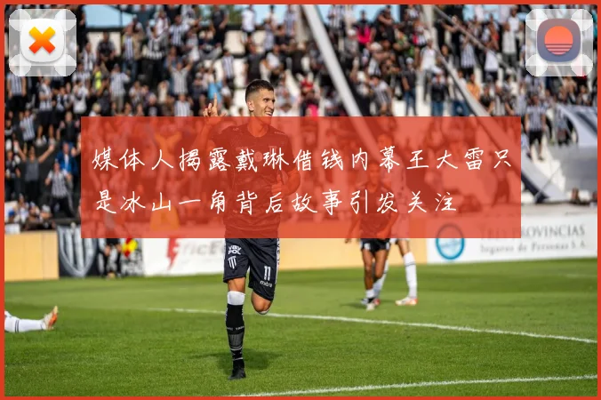 媒体人揭露戴琳借钱内幕王大雷只是冰山一角背后故事引发关注