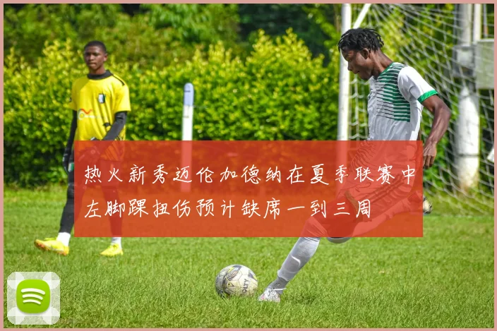 热火新秀迈伦加德纳在夏季联赛中左脚踝扭伤预计缺席一到三周